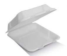 Bio_Packaging_WA_Greenmark_Perth_Paper_Takeaway_Packaging_Supplier_9" Clamshell / 1 Compartments
